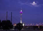 IMG_4452a.JPG