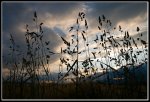 DSC_0115_Abendstimmung_Middleland.jpg