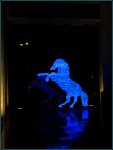 HDR-Pferd-wiehernd-spiegelung_900-forum.jpg