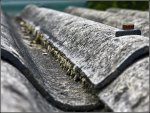 dachrinne_900-forum.jpg