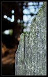 DSCF3404.jpg