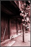 DSC_0015_Old House_Wangenried_Front_Porch.jpg