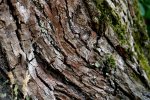 IMG_3678 Kopie.jpg