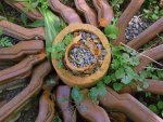 fotofaq-ziegelroundell.jpg