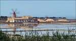P1020394 Saline 2_(C).jpg