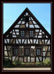 DSCF6566-a.jpg