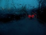 regen1.jpg