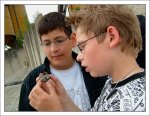 friends-a.jpg