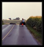 IMG0043_Amish-Man with Buggy.jpg