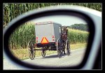 IMG0039_Buggy.jpg