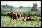 IMG0050_Amish at work.jpg