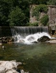 IMG_5045s.jpg