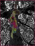 Seil-baumkrone_Colorkey_900-forum.jpg