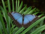 DSCF5494.jpg
