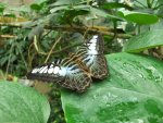 DSCF5639.jpg