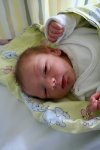 IMG_6319.JPG