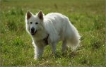 DSC02153.JPG
