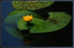 stilleWasser1.jpg