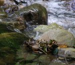 fluss.jpg