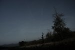 dreamland.jpg