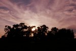 DSC_0040.jpg