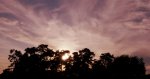 DSC_0040.jpg