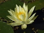 DSCF7781.jpg