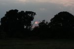 IMG_7042klein.jpg