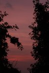 IMG_7070klein.jpg