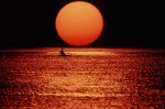 The End (900).jpg