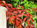 Bild 058x scal.jpg