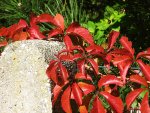 Bild 061x scal.jpg