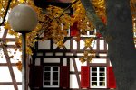 Herbst.jpg
