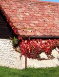 IMG_8574kleiner.jpg