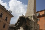 elefant.jpg