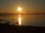 DSCF0127.JPG
