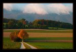 DSC_0004_Herbstfarben im Mittelland.jpg