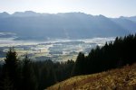 IMG_6761s.jpg