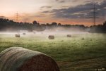 DSC_3534 Bempflingen , Nebel C.JPG