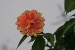 IMG_6020 Kopie.jpg