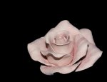 DSCF1791.jpg